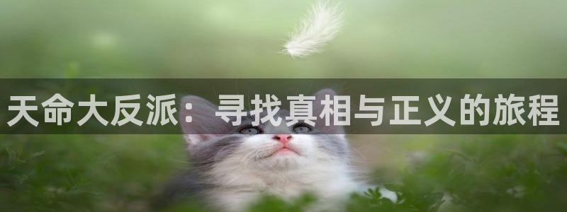 韩国歪歪漫画免费阅读：天命大反派：寻找真相与正义的旅程