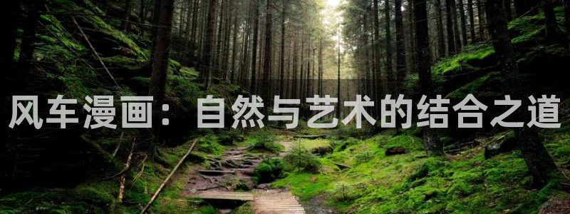 羞羞歪歪漫画.：风车漫画：自然与艺术的结合之道