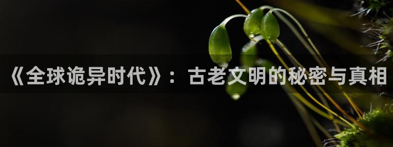 韩漫免费观看歪歪漫画：《全球诡异时代》：古老文明的秘密与真相