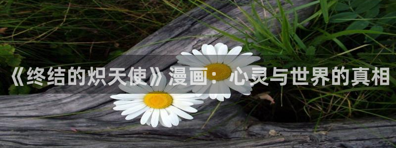 歪歪歪漫画网：《终结的炽天使》漫画：心灵与世界的真相