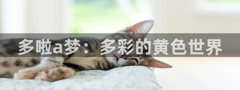 歪歪漫画sss在线阅读免费漫画：多啦a梦：多彩的黄色世界