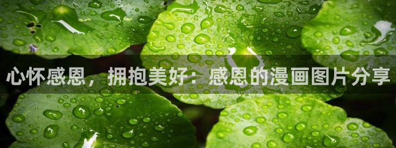 歪歪漫画在线韩：心怀感恩，拥抱美好：感恩的漫画图片分享