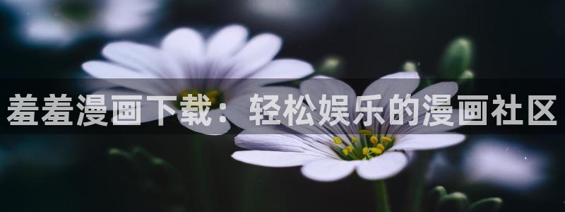 歪歪漫画在线免费版：羞羞漫画下载：轻松娱乐的漫画社区